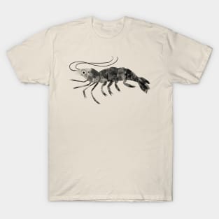 Shrimp T-Shirt